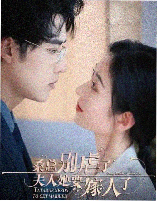 白塔之下 律政剧封面